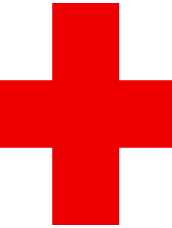 Logo Red Cross